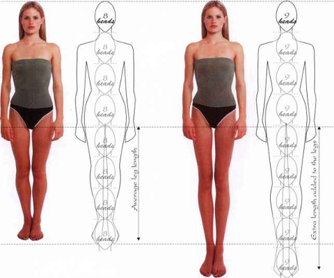 human proportions female